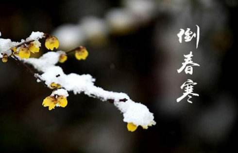 “倒春寒”來(lái)勢(shì)洶洶，殼寡糖讓作物安全度過(guò)“非常時(shí)期”！