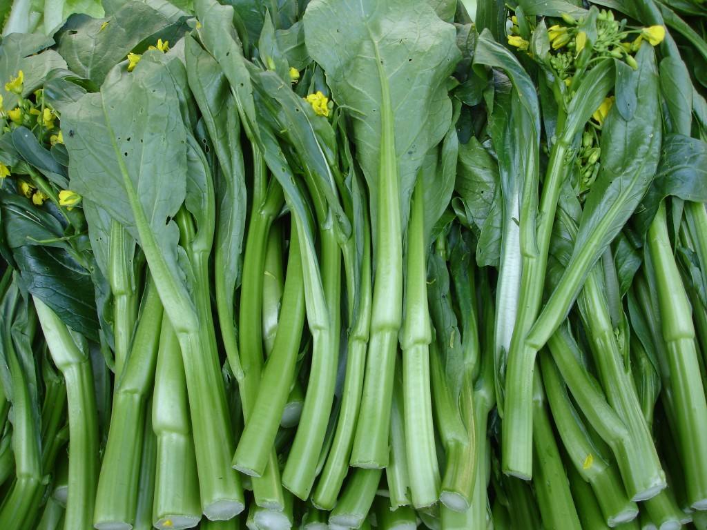 殼寡糖誘導菜薹對立枯病的抗性研究