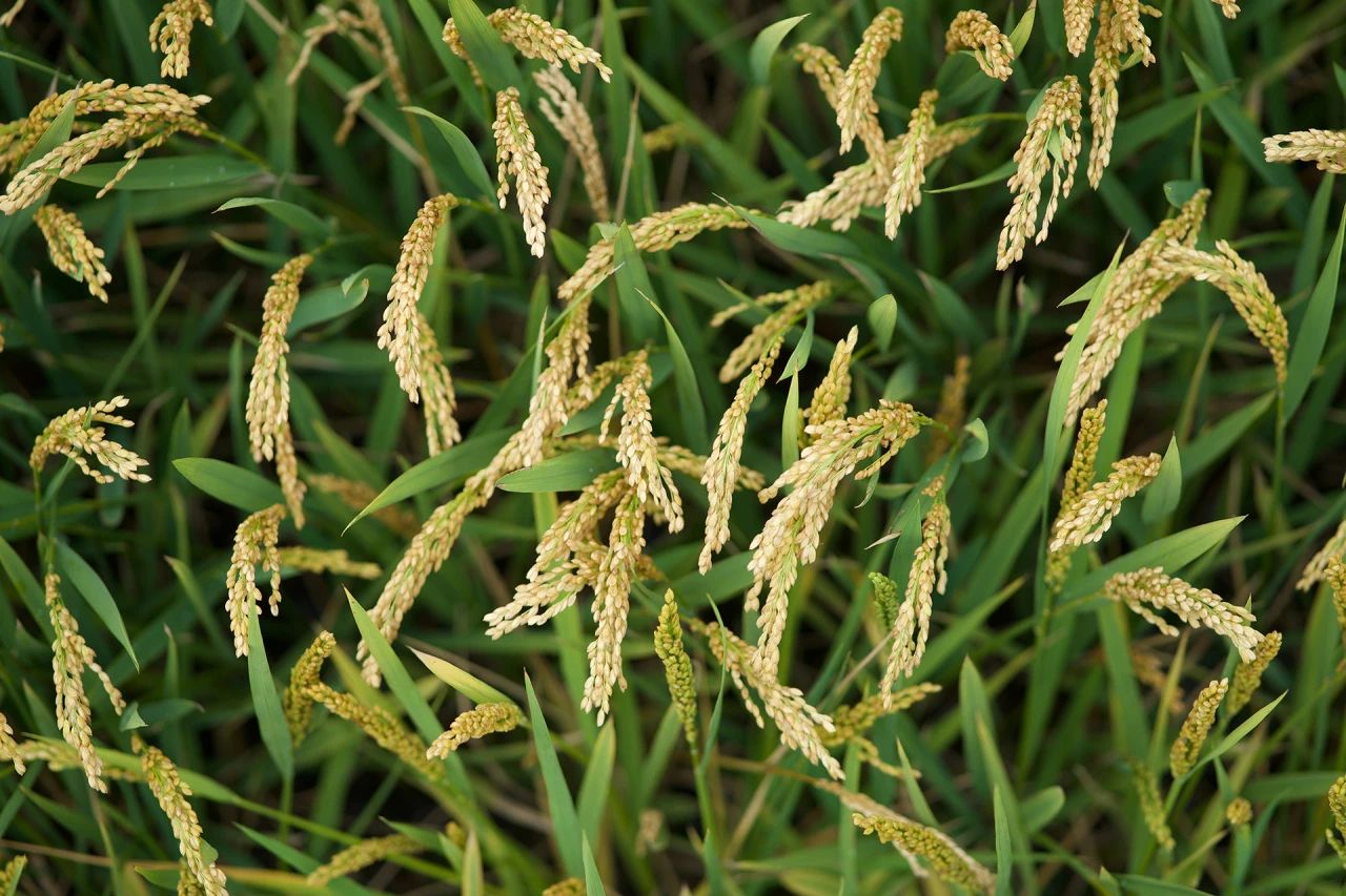 微信圖片_20250114162359.jpg 微信圖片_20250114162359.jpg